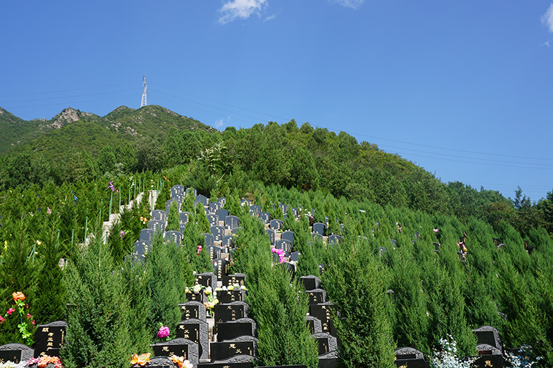 如何发讣告(什么时间发讣告)
